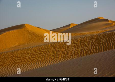 Goldene Sanddünen mit welligen Mustern unter einem klaren Himmel, Gouvernement Dhofar, Rub al Khali, Oman Stockfoto