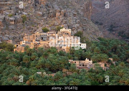 Dorf auf einem Hügel mit Satellitenschüsseln auf Lehmziegeldächern, die über eine dichte Dattelpalmenoase ragen, Region Ad Dakhiliyah, Misfat al Abriyyin, Oman Stockfoto