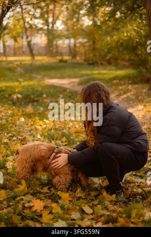 Frau, die sich hinkniet, um ihren Cocker Spaniel in einem Herbstpark voller gefallener Blätter zu streicheln Stockfoto