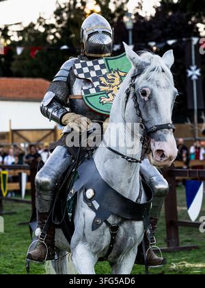 Ein Ritter in Rüstung trägt einen heraldischen Schild, während er auf einem weißen Pferd bei einem mittelalterlichen Turnier sitzt. Stockfoto