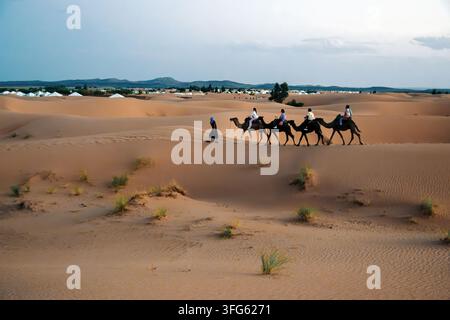 Menschen reiten Kamele durch die Dünen der Sahara-Wüste Stockfoto