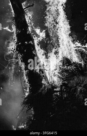 ABSTRAKTE FLAMMEN IN MONOCHROM, BRENNENDER WICKERMAN-FIGUR, GREEN MAN FESTIVAL, BRECON, WALES, UK, 2016: Eine Nahaufnahme, hochkontrastige Schwarz-Weiß-Fotografie fängt die texturierte Detailierung einer hölzernen Struktur ein, die von hellen Flammen verzehrt wird. Foto: Rob Watkins. INFO: Das Green Man Festival findet jährlich im August in den Brecon Beacons statt. Es feiert Musik, Kunst, Literatur, Wissenschaft und familienfreundliche Kultur in einer wunderschönen Berglandschaft. Jedes Jahr endet das Festival mit dem rituellen Verbrennen der Wicker-Man-Figur Green Man. Stockfoto