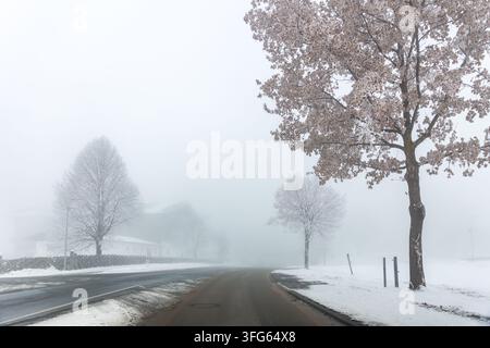 Neblige Alpenstraße windet sich durch verschneite Landschaft an einem kalten Wintermorgen mit frostbedeckten Bäumen und schlechter Sicht. Dichter Nebel, vereister Belag und Stockfoto
