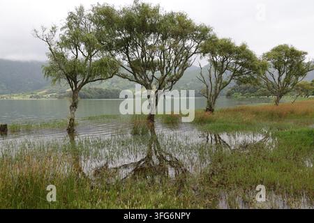 Landschaft am Sete Cidades See auf São Miguel, Azoren, Portugal Stockfoto