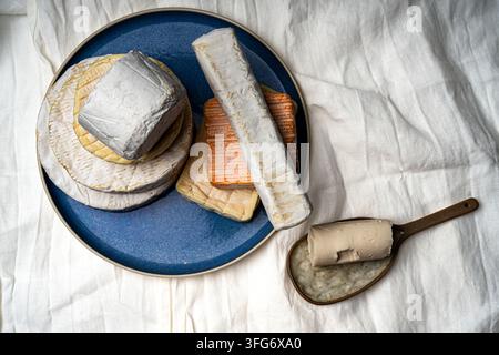 Oberansicht von verschiedenen weichgereiften Käsesorten mit weißer und orangefarbener Rinde auf einem blauen Teller und keramischem Löffel, gestylt auf natürlichem weißem Leinen Stockfoto