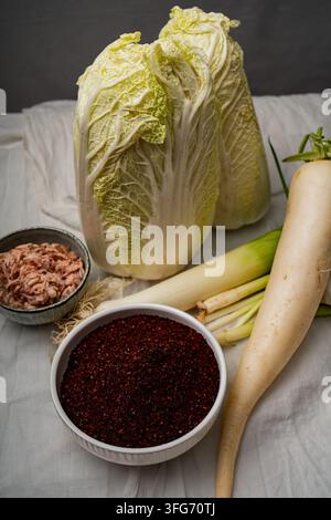 Nahaufnahme eines Stilllebens mit frischem Pekingskohl, koreanischem Rettich, Lauch, gesalzenen Garnelen und einer Schüssel roter Gochugaru-Chili-Flocken für die selbstgemachte Kimchi-Zubereitung Stockfoto