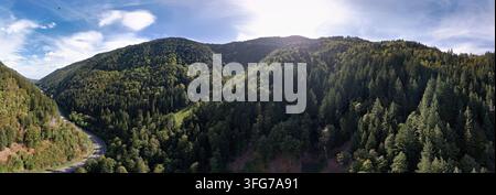 Panoramischer Luftbild-Drohnenblick auf den dichten Schwarzwald, Deutschland Stockfoto