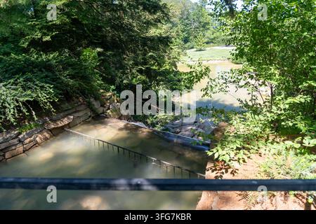 Blick auf einen üppigen grünen Park und einen Fluss, eingerahmt von immergrünen Bäumen Stockfoto
