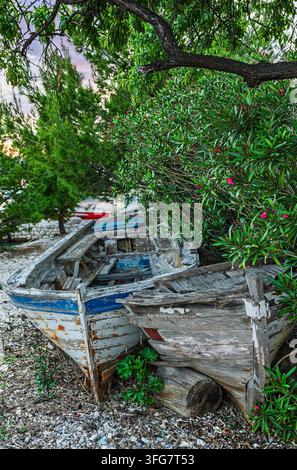 Verlassene Holzfischerboote ruhen an einem felsigen Ufer zwischen überwucherten grünen Sträuchern und rosa Blüten in der Dämmerung, was Nostalgie, ruhigen Verfall und eine rustikale Atmosphäre hervorruft Stockfoto