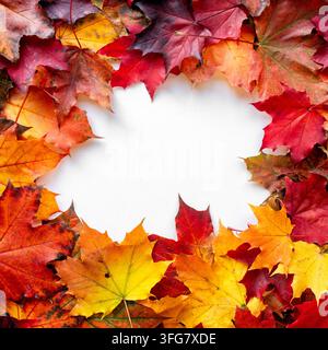 Hellrote, orange und gelbe Herbstblätter, die um einen weißen Hintergrund arrangiert sind, schaffen einen saisonalen Rahmen mit Kopierraum in der Mitte. Buntes Herbstlaub Stockfoto