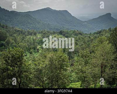 Kerala, Indien – 20. Juli 2026: Weites nebelbedecktes Waldlaub und geschichtete Berggipfel unter wolkigem Himmel in den Ambanad Hills Kollam Stockfoto