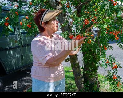 Ältere Frau praktiziert Wellness und Freizeitaktivitäten im Freien, genießt einen gemütlichen Spaziergang und frische Luft in einem Hintergartengarten Stockfoto