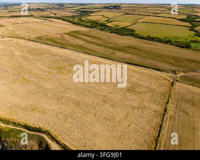 Flickenteppich aus trockener gelber Weide und grünen Feldern entlang der Küstenklippe, ländliche Landschaft aus der Vogelperspektive an einem sonnigen Tag Stockfoto