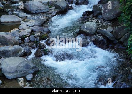 Stürzendes Wasser stürzt über glatte, graue Steine. Weißer Schaum wirbelt zwischen gezackten Felsbrocken. Die Kraft der Natur tanzt durch das steinige Bachbett. Stockfoto