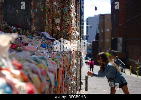 Ein Besucher fügt Kaugummi zur berühmten Kaugummiwand in der Post Alley in der Nähe des Pike Place Market hinzu, einer der bekanntesten öffentlichen Kunstattraktionen von Seattle. Stockfoto