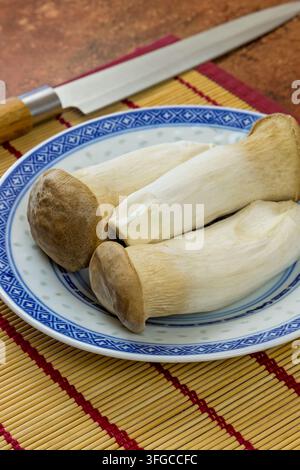 Rohe King-Oyster-Pilze auf einem Teller, Stockfoto