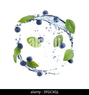 Frische Blaubeeren, grüne Blätter und Wasserspritzer in der Luft vor weißem Hintergrund Stockfoto