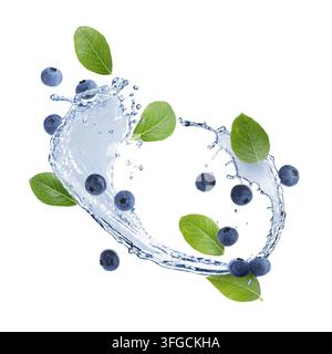 Frische Blaubeeren, grüne Blätter und Wasserspritzer in der Luft vor weißem Hintergrund Stockfoto