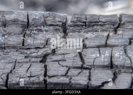 Die Risse und Textur eines Stücks Holzkohle, gestapelte Kompositeaufnahme, aufgenommen auf einer Farm in der östlichen Kordillere der Anden, im Zentrum Kolumbiens Stockfoto