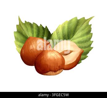 Handgezeichnete Haselnuss mit grünen Blättern Illustration Stockfoto
