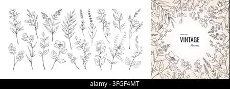 Linienblumen-Set. Florale Vintage-Zeichenkunst, Pflanzenblatt- oder Blumen-skizze, Frühlingsstrauß-Element. Einfache Naturkräuter, eleganter Umrissrahmen oder Bordüre. Vektor-Flachstil isolierte Illustration für Design Stock Vektor