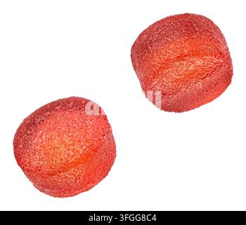 Rote Gelee-Bonbons isoliert auf weißem Hintergrund mit Beschneidungspfad Stockfoto