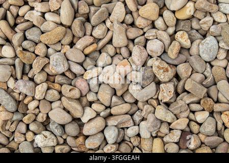 Kleine hellfarbene glatte Steine und Kiesel bedecken den Boden in dieser natürlichen Umgebung. Die Textur zeigt eine Mischung aus Formen und Größen, die eine Außengegend schaffen Stockfoto