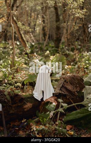 Hund gemischter Rasse, in ein weißes Laken gehüllt, steht auf einem gefallenen Baumstamm in einem Herbstwald. Vertikales Halloween-Porträt schafft eine verspielte saisonale Outdoorszene Stockfoto