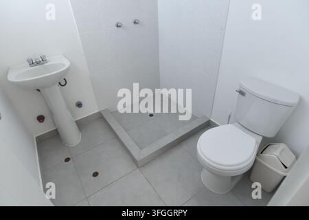 Minimalistische Badezimmer-Suite: Ein sauberes und funktionales Badezimmer mit einem Standwaschbecken, einer modernen Dusche und einer Toilette mit einem Abfallbehälter. Stockfoto