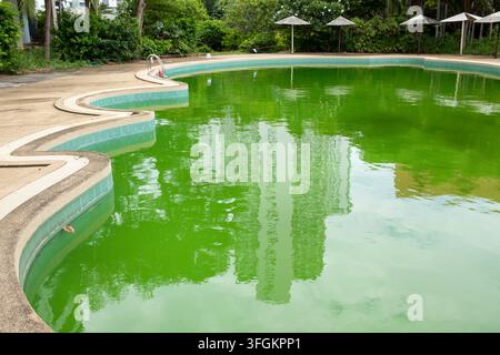 Trübe grüne Algen füllen das Schwimmbecken, der gewellte Kachelrand wölbt sich um den Pool, weiße Sonnenschirme säumen den tropischen Gartenhintergrund, vernachlässigtes Wasser braucht Reinigung Stockfoto