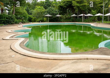 Leerer Schwimmbecken hält dichten grünen Algenblüte, gebogener Kachelrand zeichnet kreisförmige Form nach, üppige Palmen und Schirme umgeben unbehandeltes Wasser in t Stockfoto