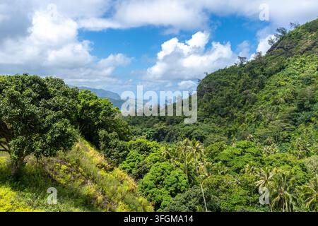 Üppiger tropischer Wald über den Bergen mit Blick auf die Bucht von Atuona, Hiva OA, Französisch-Polynesien. Eine atemberaubende Landschaft mit grünen Hügeln, Palmen und Th Stockfoto