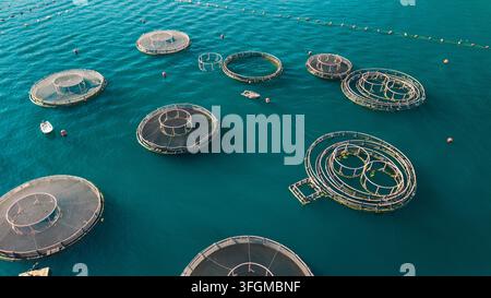 Luftbild zeigt kreisförmige Käfige einer Meeresfischzucht, die in türkisfarbenem Wasser nahe Perast, Montenegro, schwimmen. Stockfoto