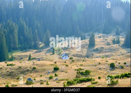 Horizontale Fotografie einer kleinen weißen Hütte, die sich in einem grasbewachsenen Bergtal eingebettet befindet, umgeben von Kiefernwäldern und fernen Gipfeln. Stockfoto