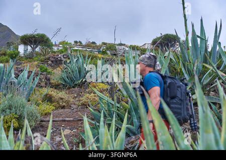 Ein männlicher Wanderer geht einen Bergpfad entlang, der von Agaven gesäumt ist, auf ein Landhaus und Drachenbäume in Anaga Teneriffa zu Stockfoto