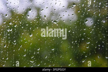 Regentropfen auf einem Fenster mit verschwommenen grünen Bäumen im Hintergrund Stockfoto