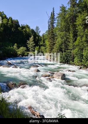 Die Strömung ist im Frühsommer im Little Susitna River nahe Palmer, Alaska, stark. Stockfoto