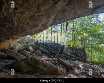 Blick aus einem felsigen Überhang hinaus auf große Felsbrocken und grüne Bäume in einem Wald. Stockfoto