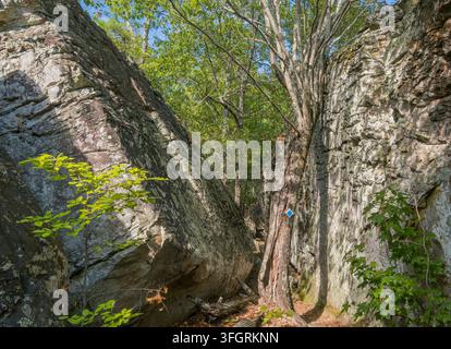 Ein enger felsiger Durchgang zwischen großen Felsbrocken zeigt einen Baum mit einem blauen Diamant-Markierungszeichen. Stockfoto