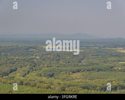 Eine Hochwinkel-Landschaftsansicht zeigt ein dichtes grünes Waldkronendach, einen gewundenen Fluss und entfernte sanfte Hügel unter einem dunstigen Himmel. Stockfoto