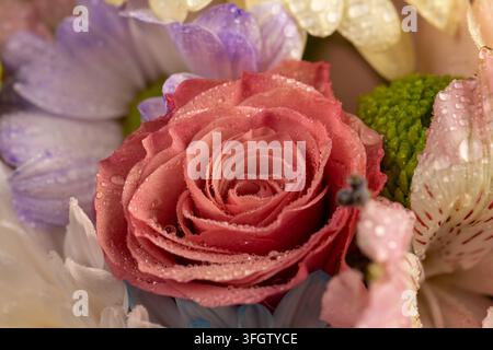 Rosa Rose in Wassertropfen, Nahaufnahme, frische Rose bedeckt mit feinem nassem Tau inmitten eines bunten Blumenstraußes nach dem Regen Stockfoto