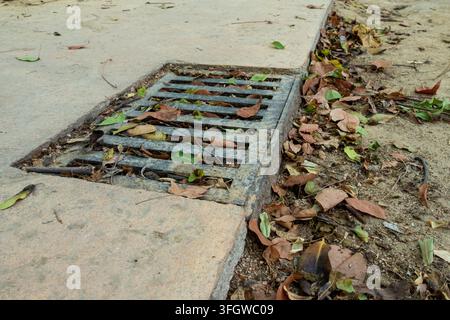 Metallabflussgitter verstopft mit trockenen Herbstblättern auf Betonboden Stockfoto