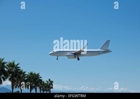 Weißes Passagierflugzeug fliegt tief über Palmen gegen blauen Himmel während des Landeanflugs Stockfoto