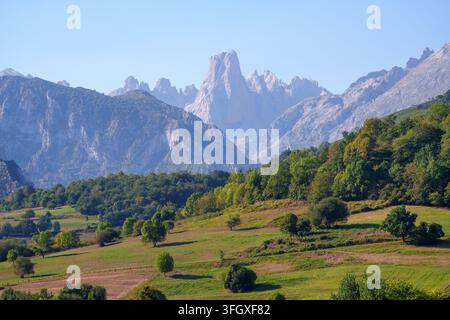 Blick auf den Berggipfel Naranjo de Bulnes, der über üppigen grünen Wiesen und Wäldern im Nationalpark Picos de Europa in Spanien aufragt Stockfoto