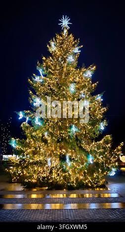 Beleuchteter Weihnachtsbaum geschmückt mit warmen Lichterketten und weißen Vogelornamenten auf einem öffentlichen Platz in Anykščiai, Litauen. Stockfoto