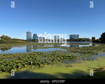 Normandale Lake, mit Algen bedeckt, in Bloomington, Minnesota. Stockfoto