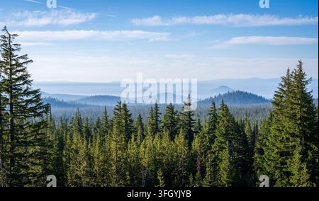 Dichte immergrüne Holzrahmen umrahmen die fernen Vulkanberge, die von der Cascade Lakes National Scenic Byway in den Bergen Zentral-Oregons aus zu sehen sind. Stockfoto