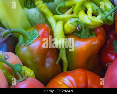 Nahaufnahme von roten und gelben Paprikaschoten mit grünen Chilischoten und anderem frischem Gemüse, arrangiert in einer farbenfrohen Marktauslage. Stockfoto