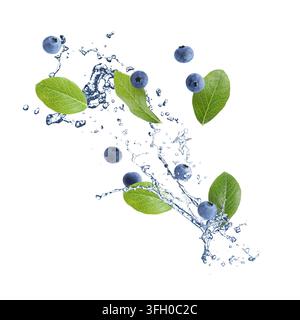 Blaubeeren, grüne Blätter und Wasser spritzen in der Luft vor weißem Hintergrund Stockfoto