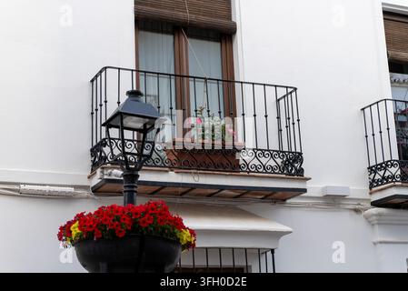 Nahaufnahme einer weißen Stuckwohnhausfassade mit einem schmiedeeisernen Balkon, Holzläden, bunten Blumen und einer dekorativen schwarzen Straßenlaterne. Stockfoto